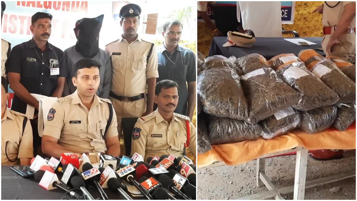 Police Seized Ganja In Miryalaguda