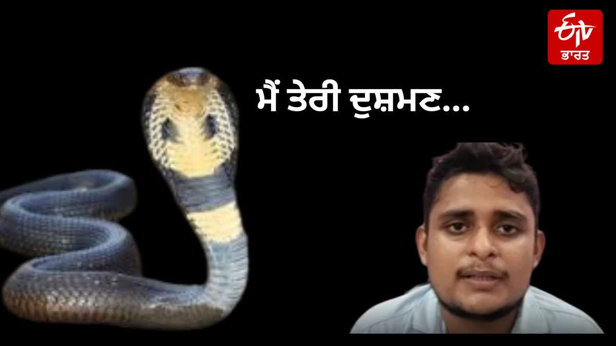 SNAKE REVENGE FATEHPUR YOUTH