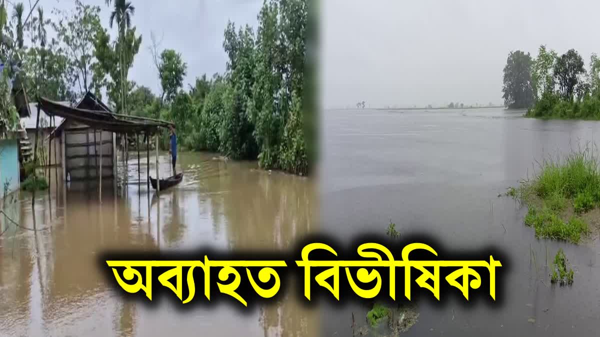 ASSAM FLOOD SITUATION