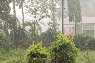 WB Monsoon Update