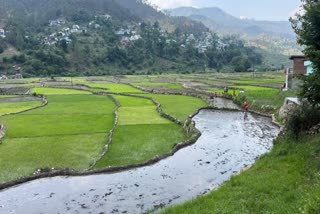 Uttarakhand Weather Alert