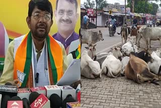 Animal Husbandry Minister Lakhan Patel