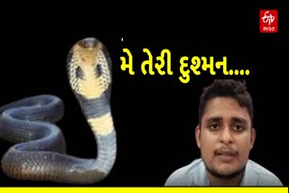 એક નાગણીએ યુવકને 40 દિવસમાં 7 વાર માર્યા ડંખ