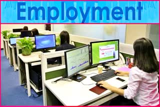 Employment In Chhattisgarh