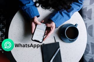 WhatsApp Transcription Feature