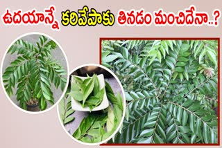 Curry Leaves Benefits