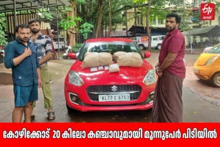 കോഴിക്കോട് കഞ്ചാവ് വേട്ട  കോഴിക്കോട് വാര്‍ത്തകള്‍  GANJA SEIZED IN KOZHIKODE  cannabis seized kozhikode