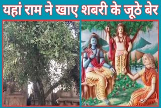 Mata Shabari had fed Ram with rotten berries