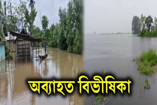 ASSAM FLOOD SITUATION