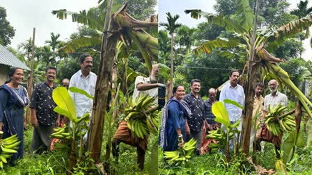 CONGRESS FUND VERITY  CONGRESS PARTY KASARAGOD  ബക്കറ്റ് പിരിവിന് ബദല്‍  കോൺഗ്രസ് കാസര്‍കോട്