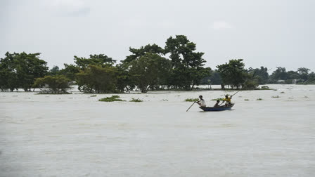 Assam flood