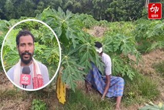 A youth has earned 40 lakh rupees annually through agricultural work