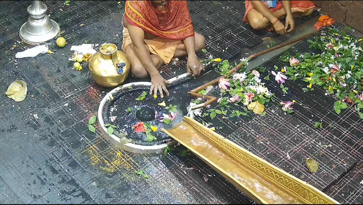 many-devotees-performed-jalabhishek-on-third-day-of-sawan-at-deoghar-baba-dham