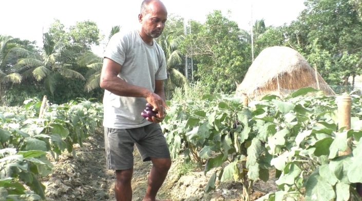Success Story: How Farming Changed Fate Of This 10th Fail Man From Odisha's Kendrapara