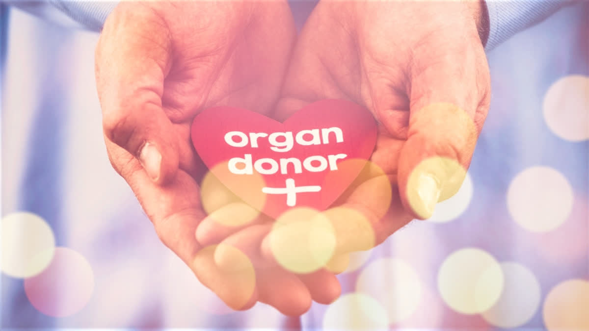 Significant growth in organ donation in India