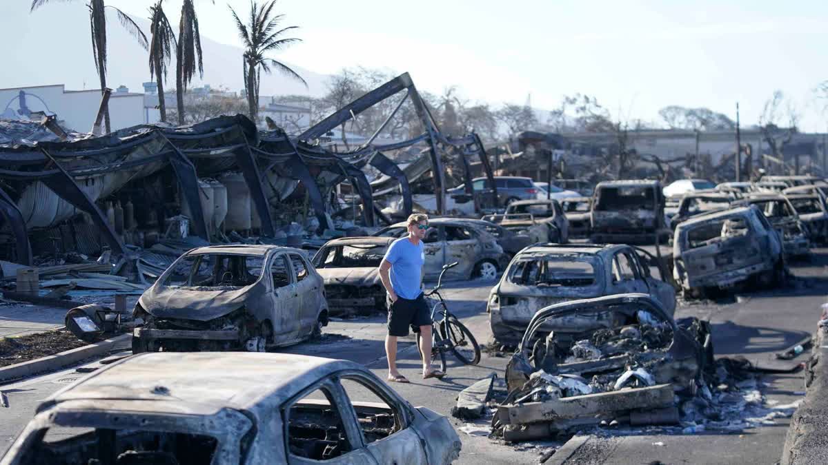 Hawaii Wildfire death toll increased  Hawaii Wildfire death toll  Hawaii Wildfire  മിനസോട്ട  കാലിഫോര്‍ണിയ  ഹവായ്  മിനസോട്ടയില്‍ തീപിടിത്തം  കാട്ടുതീ  ഹവായ് ദീപിലുണ്ടായ കാട്ടുതീ