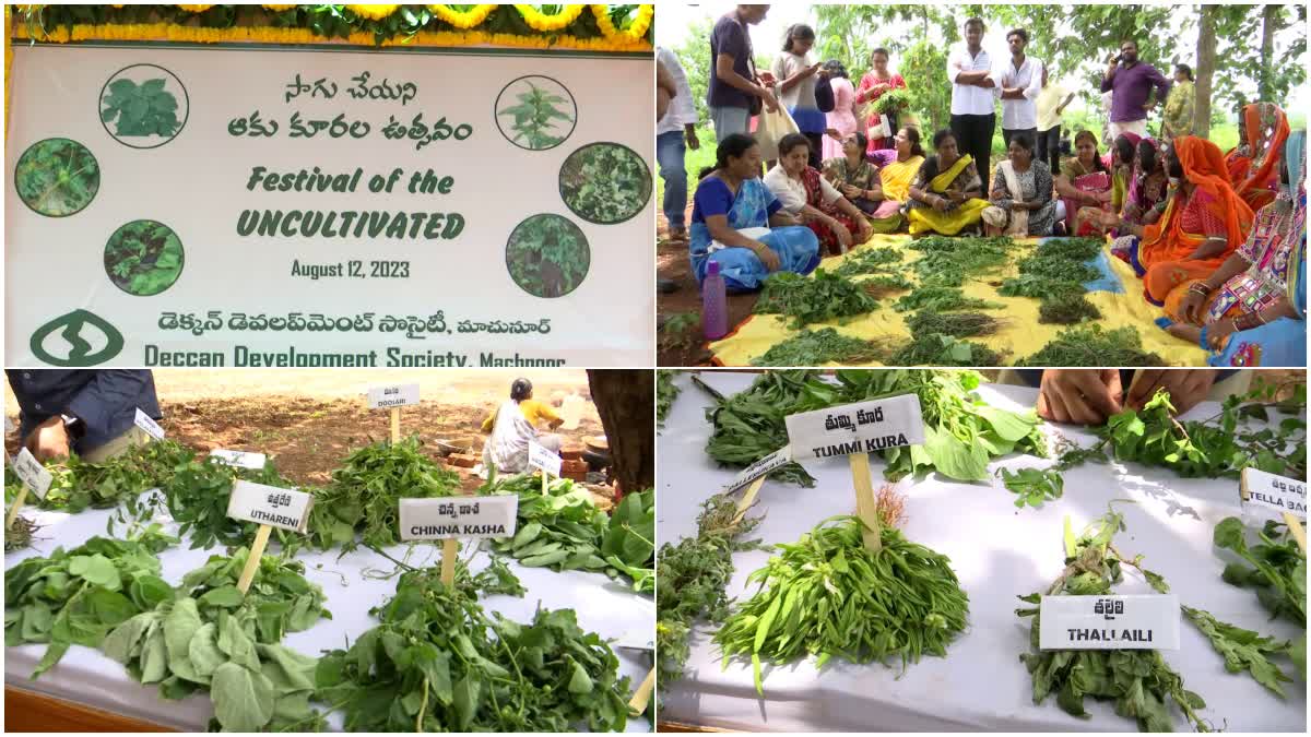 Uncultivated leafy vegetable festival in DDS