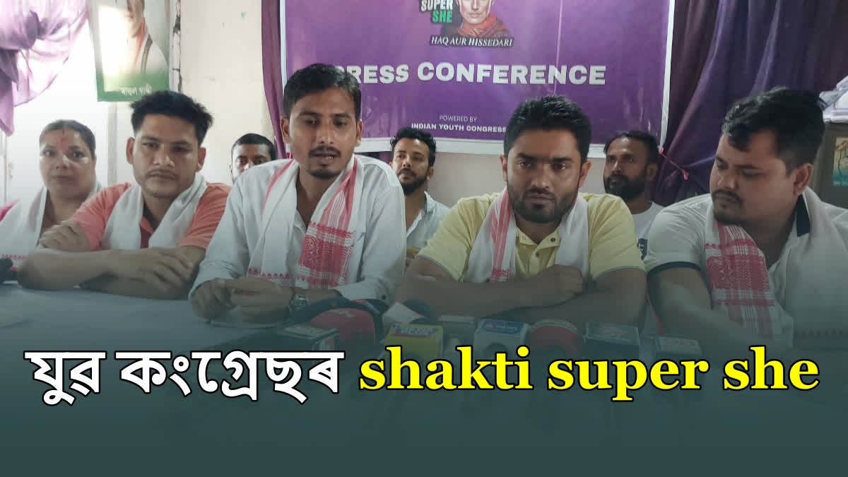 Youth Congress Press Meet