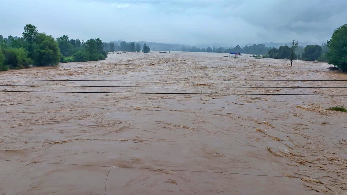 rain in mandi