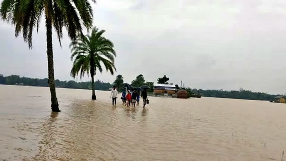 Flood in Assam