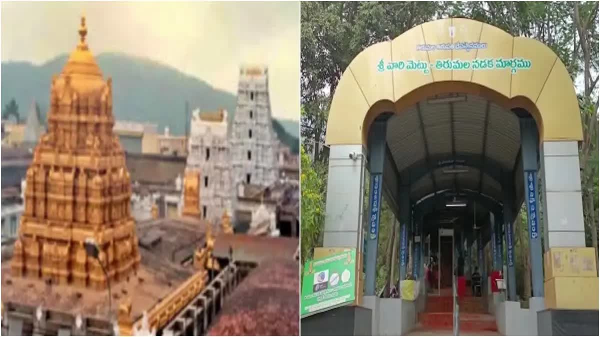 Andhra Pradesh: Children not to be allowed on Tirumala temple footpath routes after 2 p.m