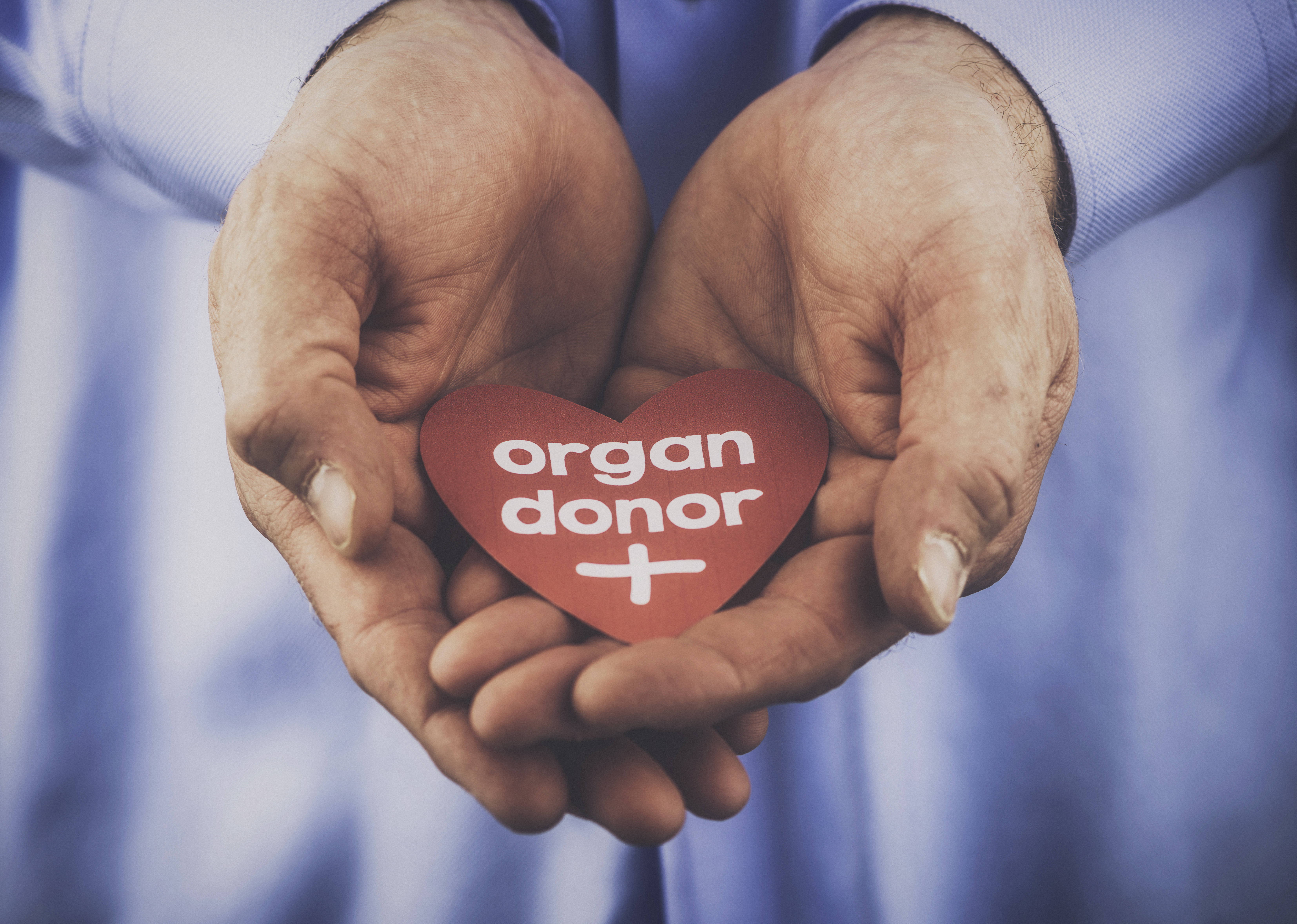 World Organ Donation Day