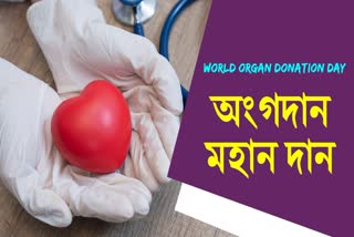 World Organ Donation Day 2023