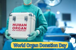World Organ Donation Day 2023