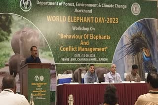 Ranchi On World Elephant Day