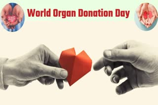 WORLD ORGAN DONATION DAY 2023 HISTORY SIGNIFICANCE AND ALL YOU NEED TO KNOW