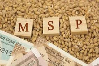 MSPs of coarse grains rise