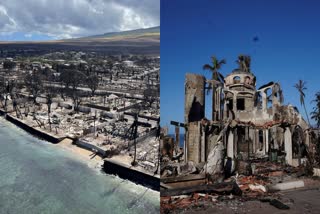 hawaii wildfire news