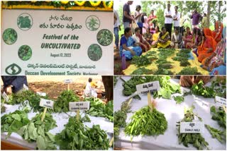 Uncultivated leafy vegetable festival in DDS