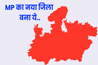 MP New District
