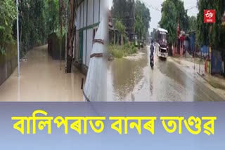 Various Parts of Balipara in Grip of Flood
