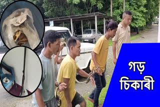 Rhino poacher arrest in Assam