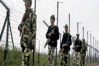 Smart fences set up along LoC to thwart infiltration attempts