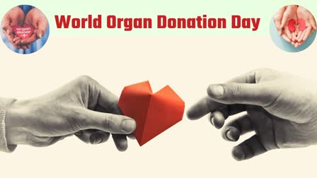 World Organ Donation Day 2023