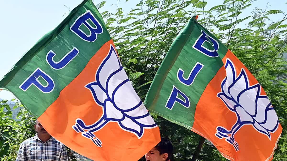 BJP sweeps panchayat elections in Tripura