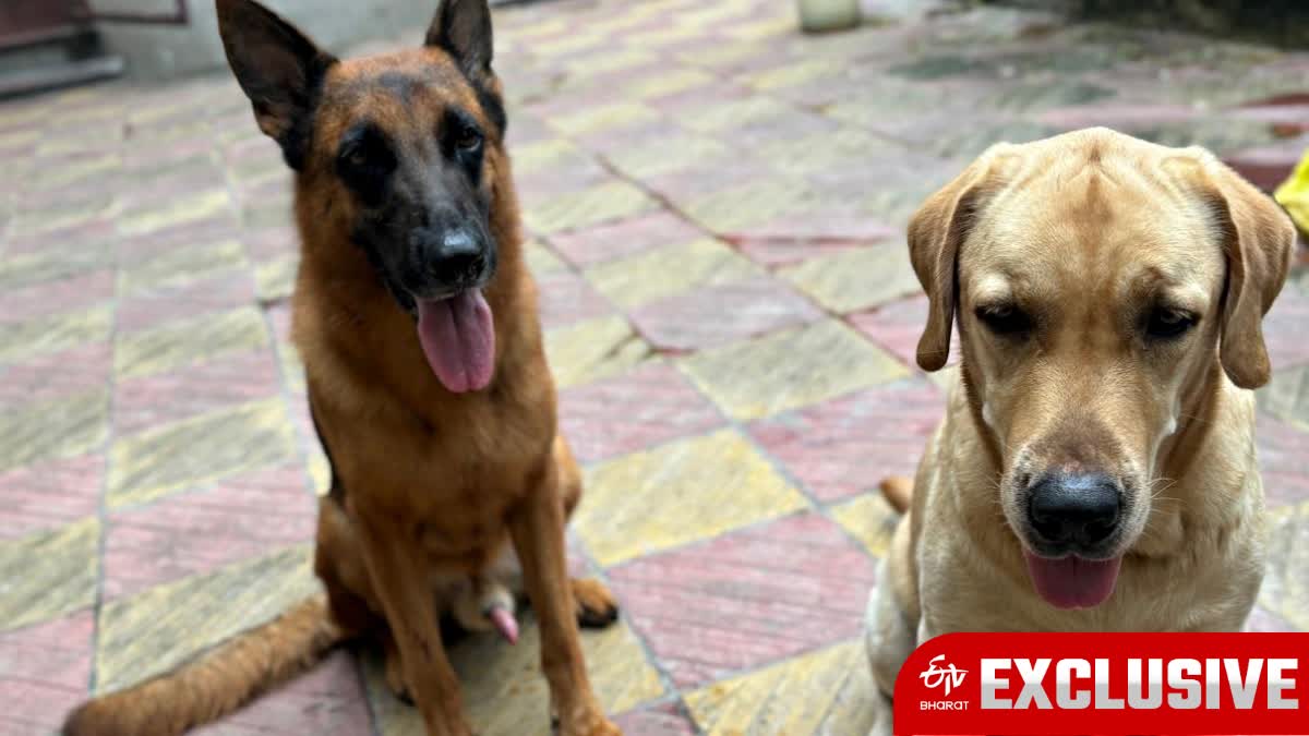 Kolkata Police Dog Squad