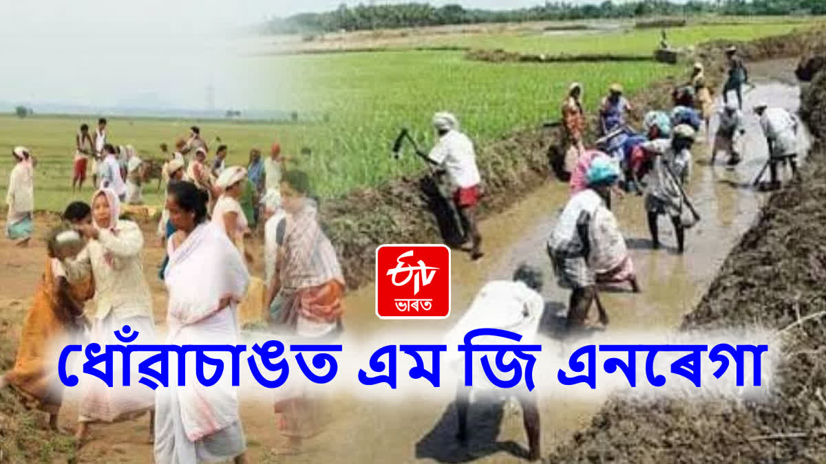 MGNREGA Implementation In Assam