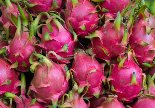 DRAGON FRUIT HEALTH BENEFITS