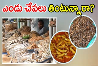 dry fish benefits in telugu