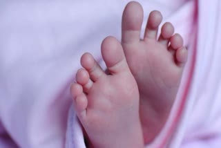 A Baby Girl Abandoned in Bapatla