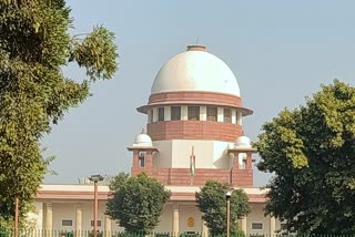 plea in SC on claims by Hindenburg