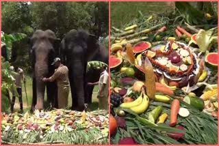 National Elephant Day Celebrations In Nehru julagical Park