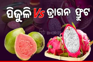 Guava Vs Dragon Fruit