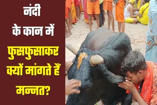 importance-of-worship-nandi-in-baba-baidyanath-dham-deoghar