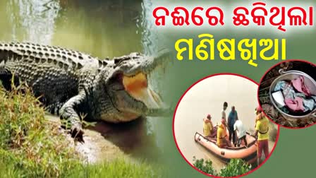 ବାସନ ଧୋଇବାକୁ ଯାଇଥିଲେ ମହିଳା; ନଦୀରେ ଟାଣି ନେଲା କୁମ୍ଭୀର