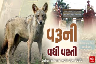 વિશ્વ વરૂ દિવસ